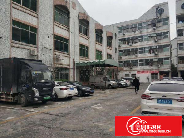 大康新出楼上1000平，价格15，大小分租，带办公室