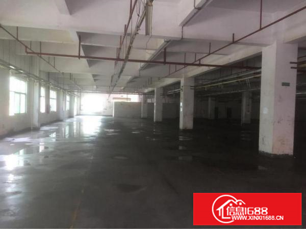 大亚湾西区标准厂房招租，手续齐全，有房产证