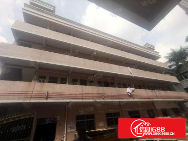 茶山新出3500独门独院厂房大路边带装修独立变压器原房东直租