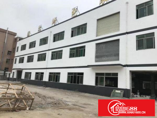 龙华大浪英泰工业园新出独门独院厂房4000平带装修厂房出租