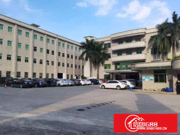 清溪三星村一楼450平原房东急租，可做五金加工机械注塑