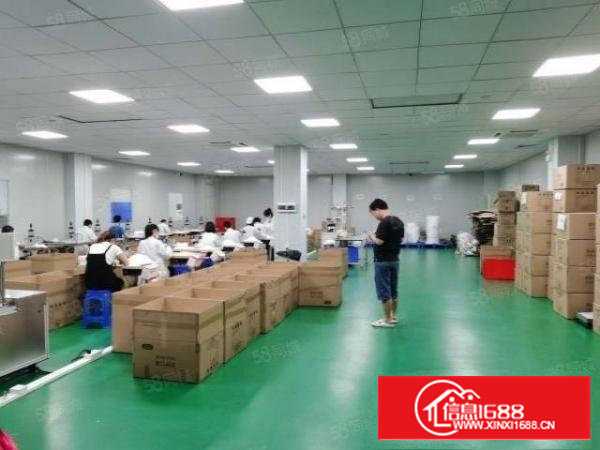 石岩塘头工业园新出楼上900平精装修厂房全吊顶地坪漆价格好谈