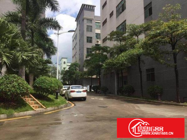 大浪行政中心，高新红本精装修厂房2408平米出租