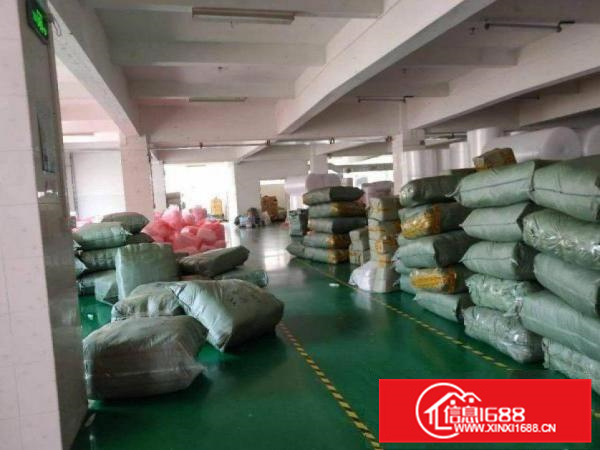 罗阳巷口村新出1楼570平原房东厂房，带现成装修