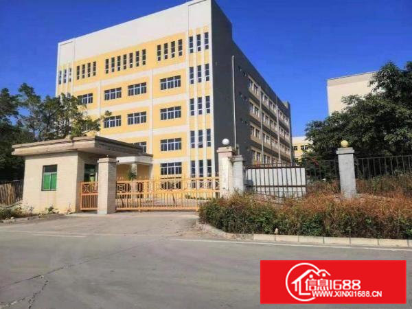 全新厂房招租带红本，整租分租都可