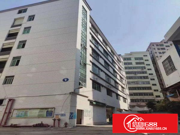 厂房出租坂田南坑新出独栋厂房6000平出租