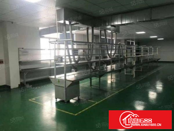 厂房龙华大浪1000平无尘车间精装修单层标准厂房出租