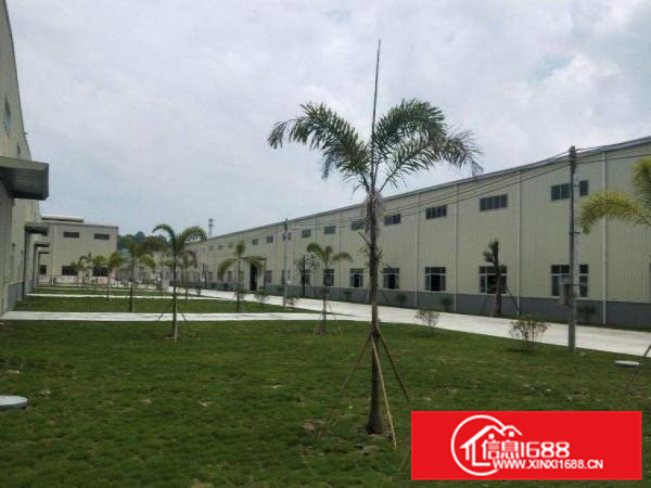 园洲高头工业区新出钢构1080平厂房带精装修地坪漆