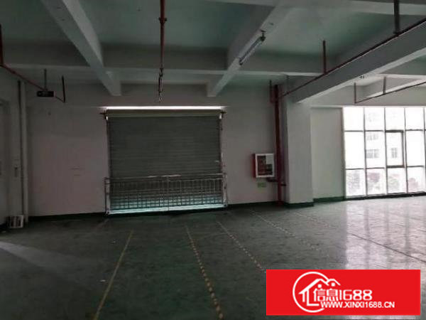 龙华大浪主干道旁新出楼盘面积1200平，独门独院，整层可分。