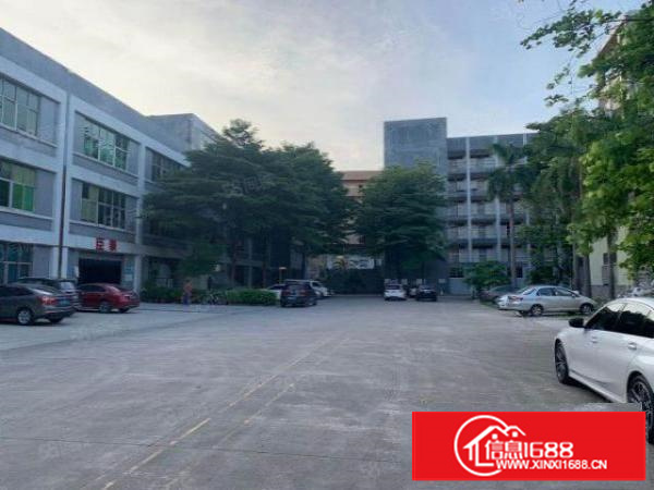 新出万江简沙洲正规园区标准一楼1200平方急租（可分租）