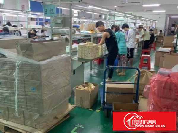 龙华大浪华兴路1000平精装厂房出租免转让费