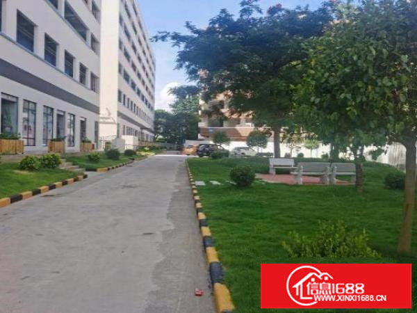 福永桥头地铁站全新整栋公寓招租