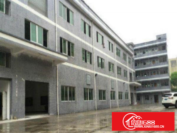 高埗独院标准厂房楼房6000平方出租