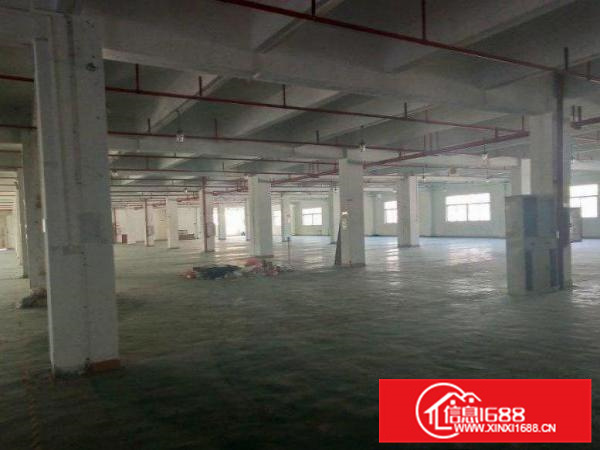惠州镇隆钢构600平米出租可分租带喷淋