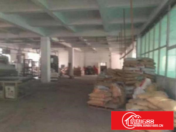 高埗独院标准厂房三层6000平方出租