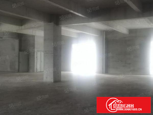 杏坛智能科技产业园带地坪漆800方，方正好用，高大尚