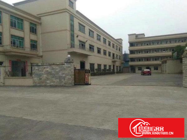 企石镇新出原房东经典小独院标准厂房