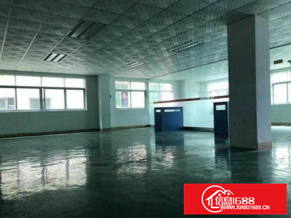 惠阳新墟原房东一楼300平，二楼600平，三楼330平可分租