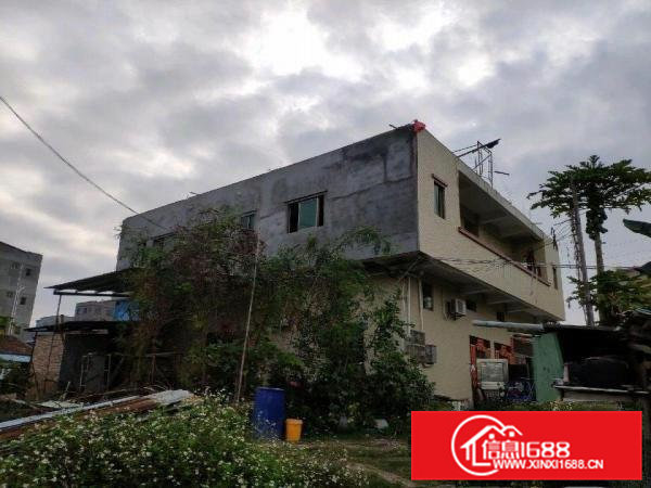 宅基地自建厂房一楼出租