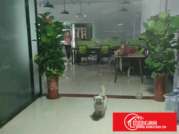 茶山原房东楼上700平方适带装修。水电齐全。有办公室。真实