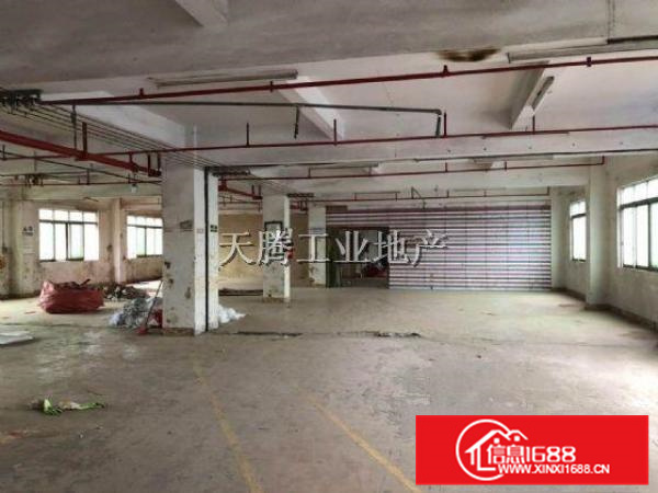 龙江楼层3600方有办公室展厅无需转让费，租12元