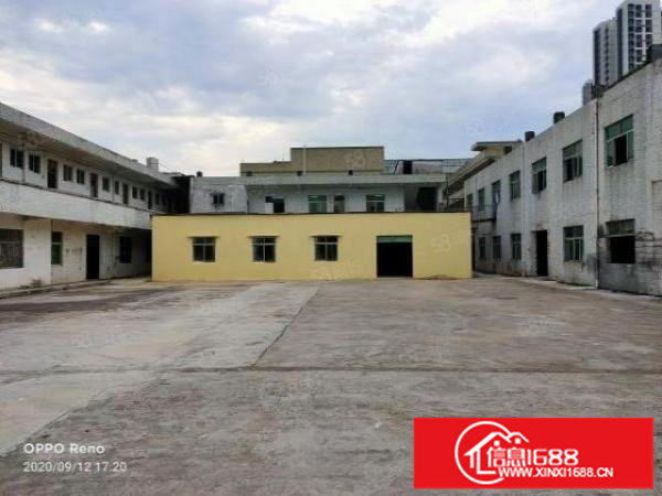 坪山石井独院厂房3000平方大小面积分租