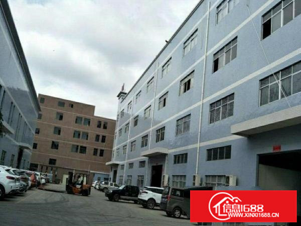 原房东出租清溪新出一楼400.800.1000平方带装修