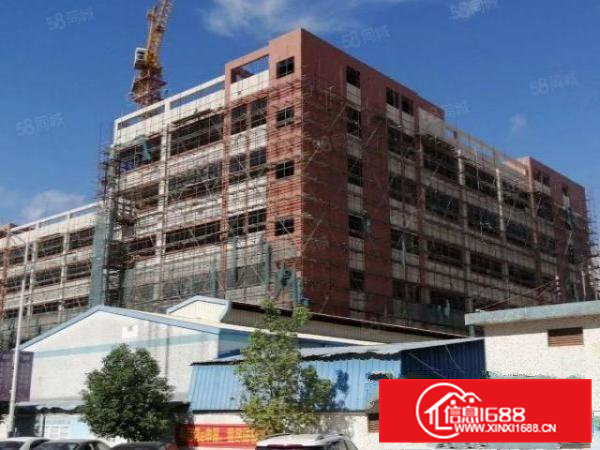 桥头新出原房东独门独院带红本工业用地标准全新厂房