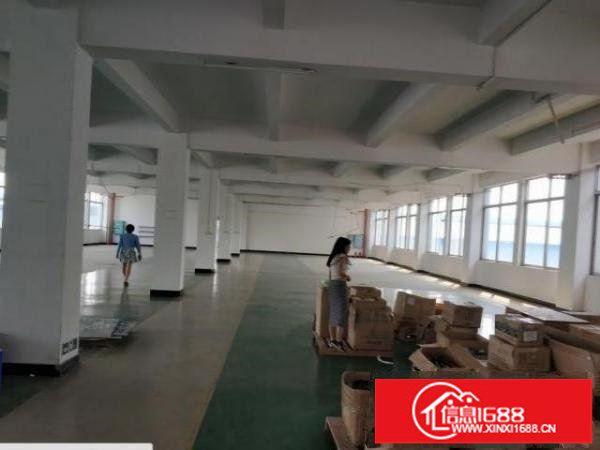 配电大！观澜牛湖楼上厂房900方招租，带地坪漆