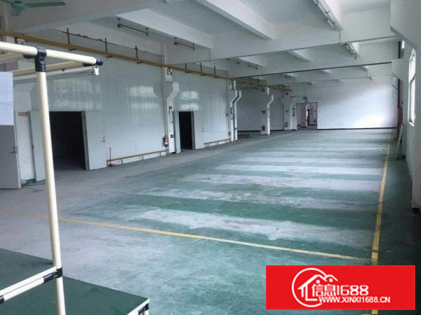 东莞企石新出小独院标准厂房3000平方出租或分租