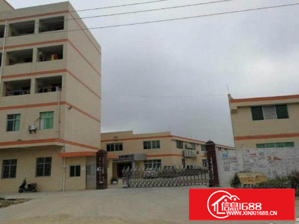 陈江镇独门独院单一层滴水七米钢构厂房2500平方