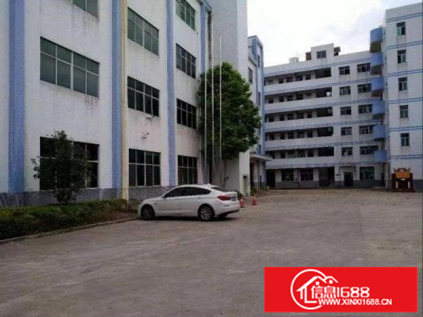 横岗六约一二楼955平米1500平带装修原房东