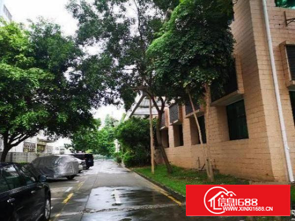 兴东地铁口3600平原房东红本带装修厂房出租，可分租