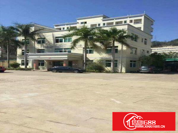 潼桥全新独院12000平标准厂房出租可做家私