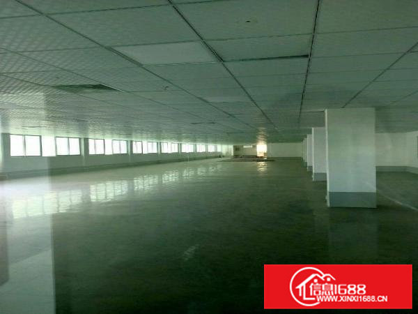 寮步镇全新装修厂房出租