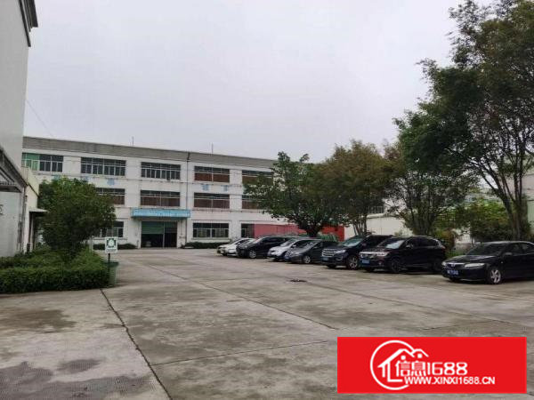 寮步原房东标准独院出租