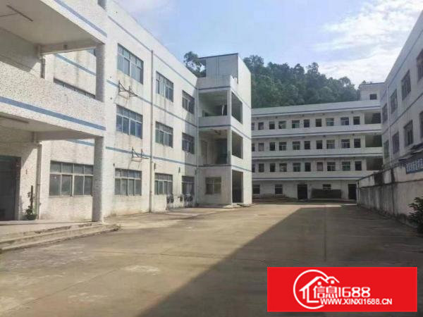 清溪铁松工业园有一楼标准厂房900平方带办公室装修