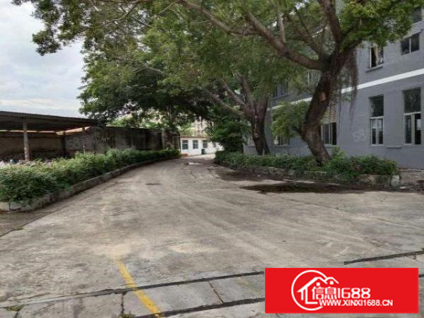 原房东独门独院！龙华观澜大型园区36000平厂房出租