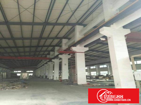 坑梓一楼标准钢结构厂房滴水8米，1250平方出租