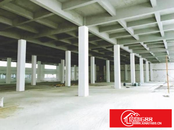 万江独院电子厂分租楼上500-----3000平方;有电梯