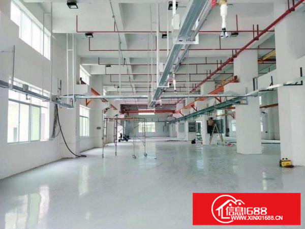 一楼2100平，带牛角