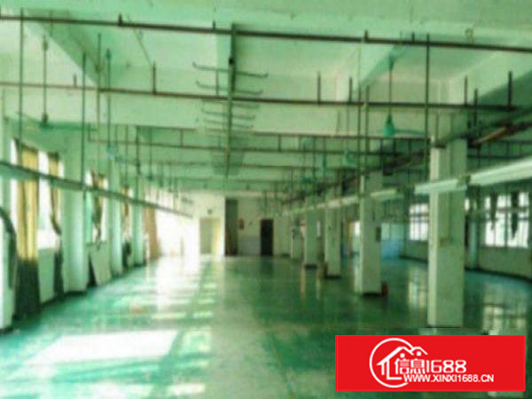 万江工业区3楼2000平米个人独院标准厂房招租形象好交通方便