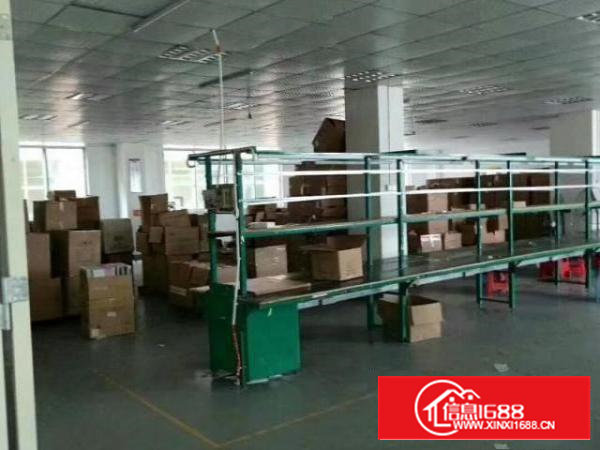 西乡九围村簕竹角村黄麻布村带装修厂房1480平米