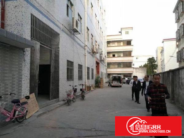 龙岗龙东独院4600平带装修电梯可分租