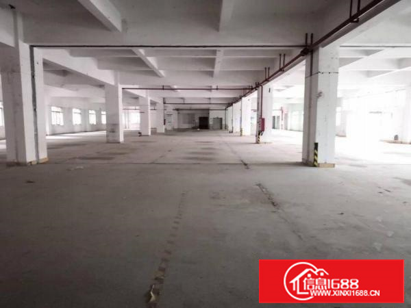 东莞长安新出21480㎡标准厂房招租