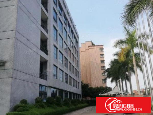 龙岗爱南路附近一楼2500平方招租租金28块可分租