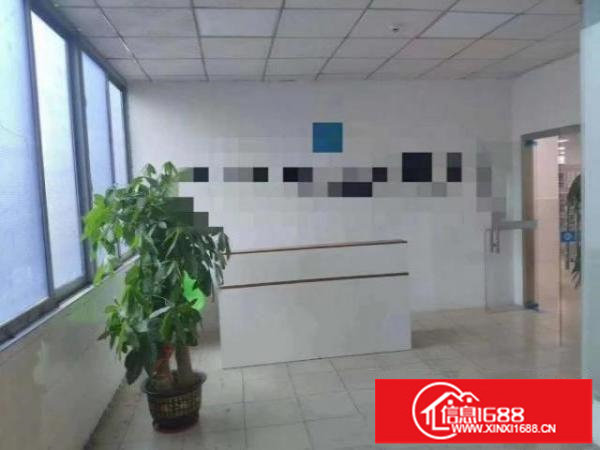 原房东带红本大型园区600-1000平方带装修