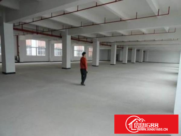 桥头新出独门独院厂房2300平米空地超大价格低