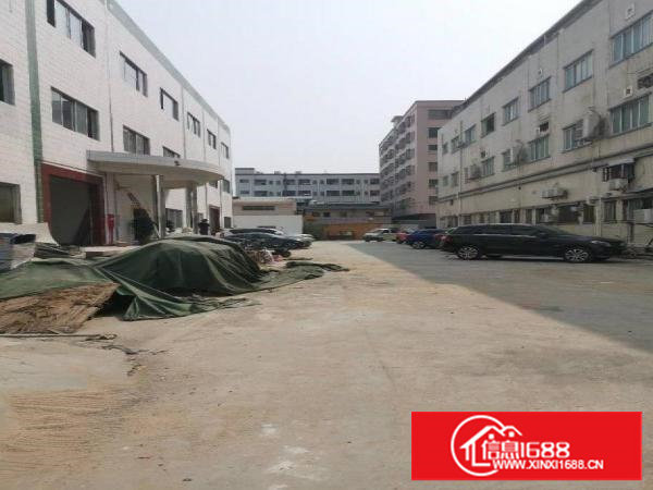 沙头新出独门独院厂房分租