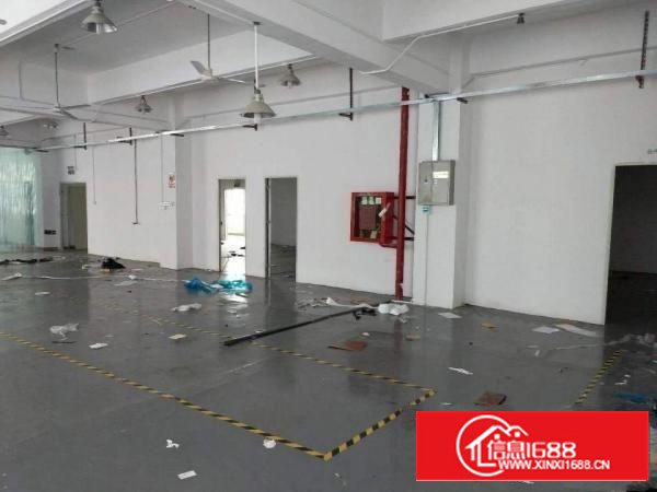 龙华公寓附近新出楼上带装修厂房出租1050平方